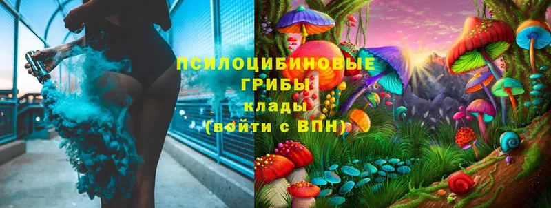 Псилоцибиновые грибы MAGIC MUSHROOMS  дарнет шоп  Светогорск 